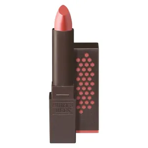 Burt's Bees Glossy Lip Lipstick Nude Rain 0.12 oz Lipstick